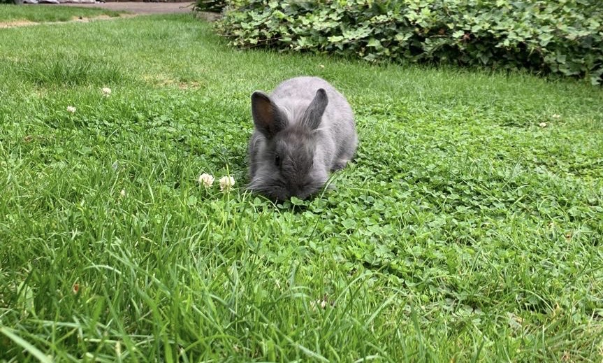 Was, es ist schon wieder bald&nbsp;Ostern?!